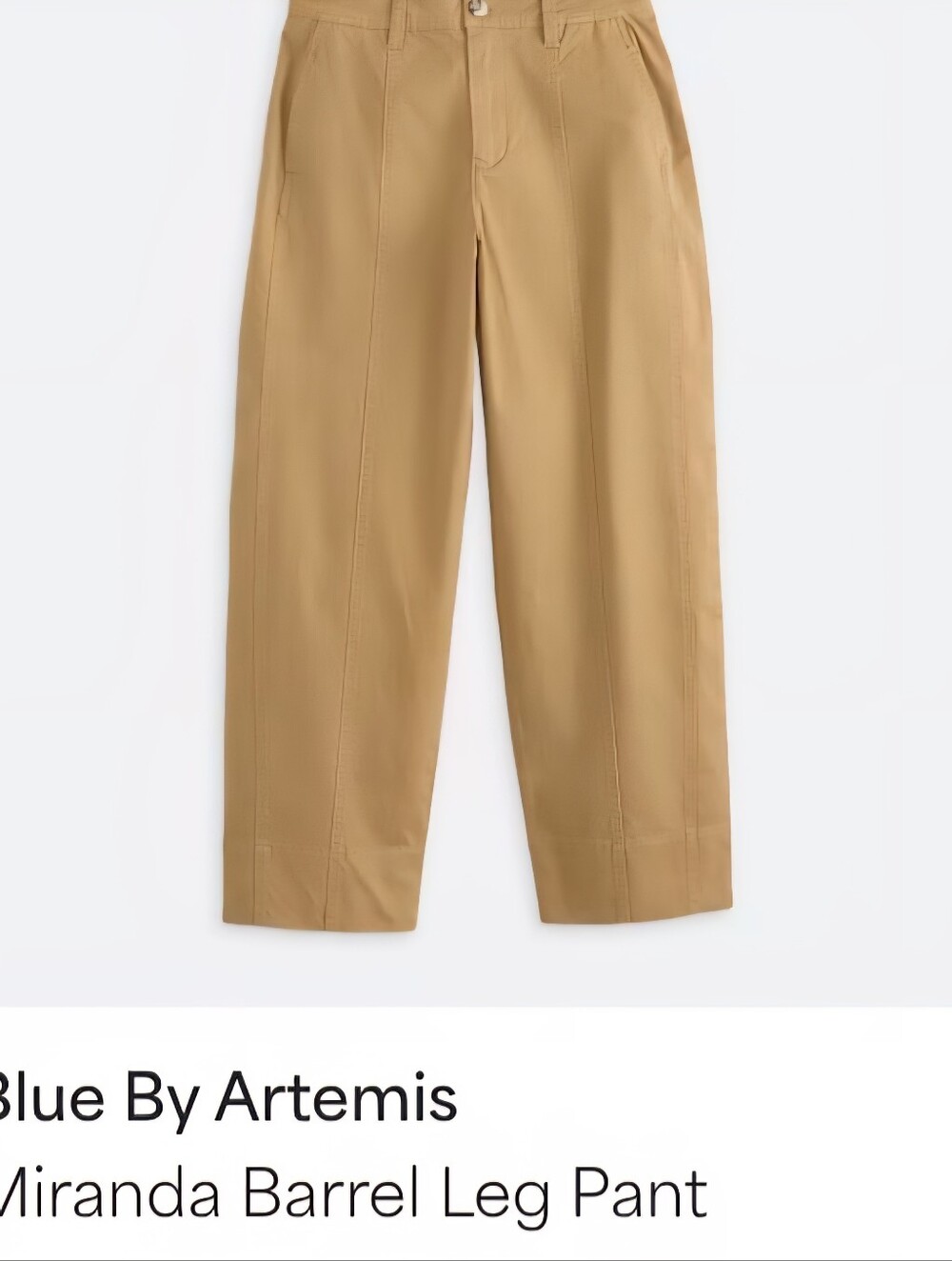 Woman High-Rise Wide Barrel-Leg Chinos in Tan